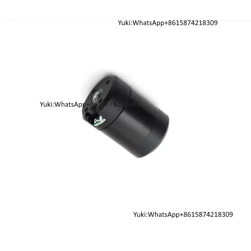 SUBFF Nieuwe 100% Waterdichte  - Dc Motor 12V recensie en prijs